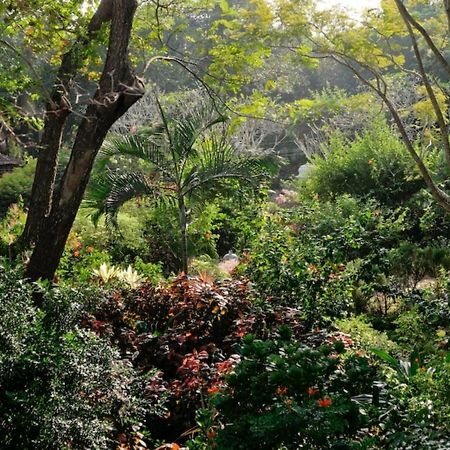 Gaia'S Garden Guest House Auroville Exterior photo
