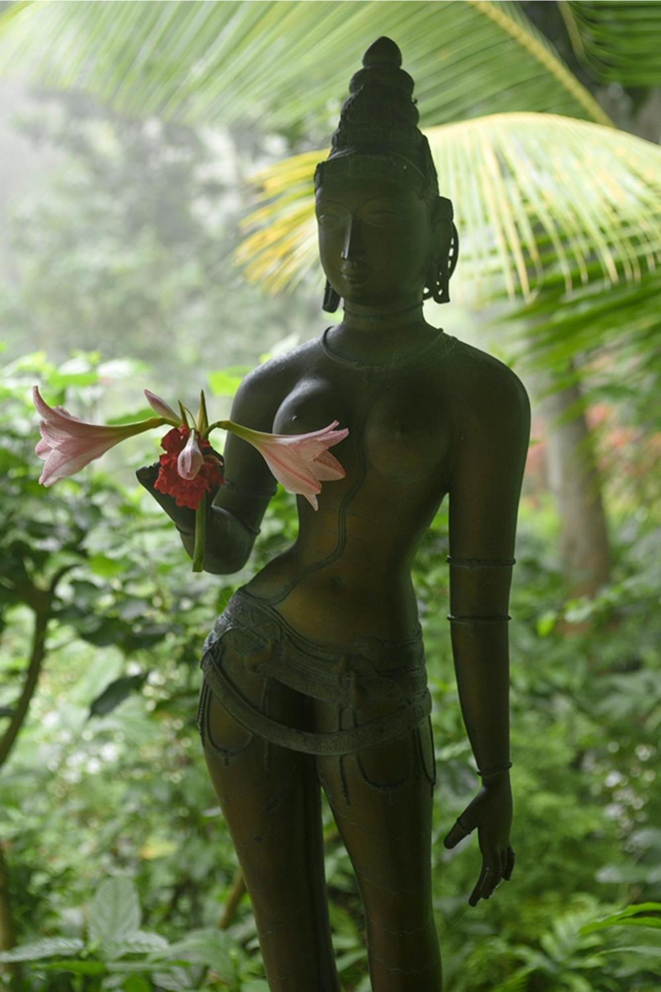 Gaia'S Garden Guest House Auroville Exterior photo