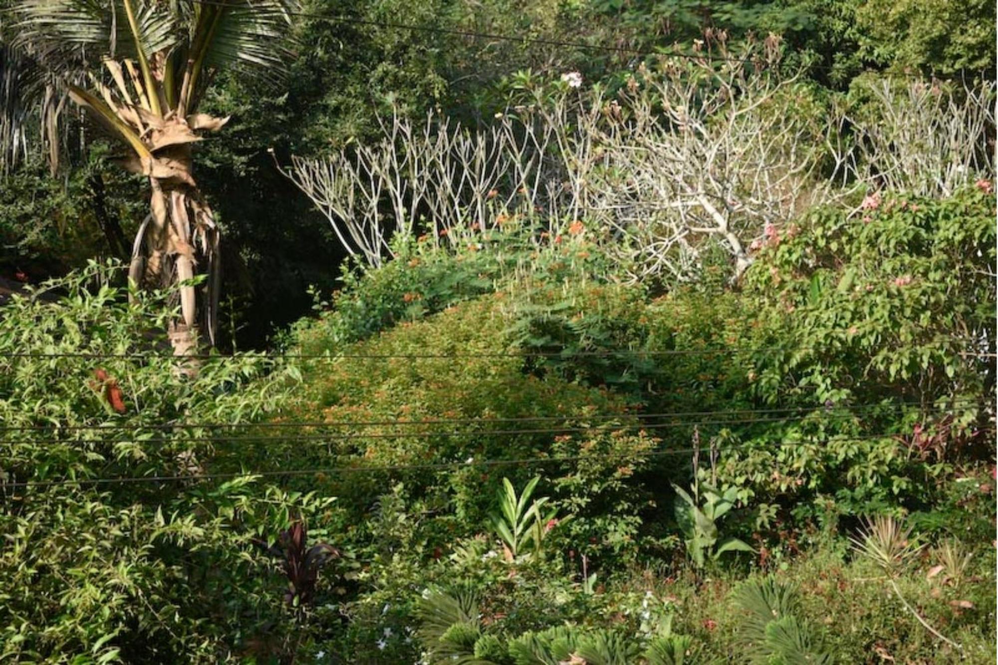 Gaia'S Garden Guest House Auroville Exterior photo