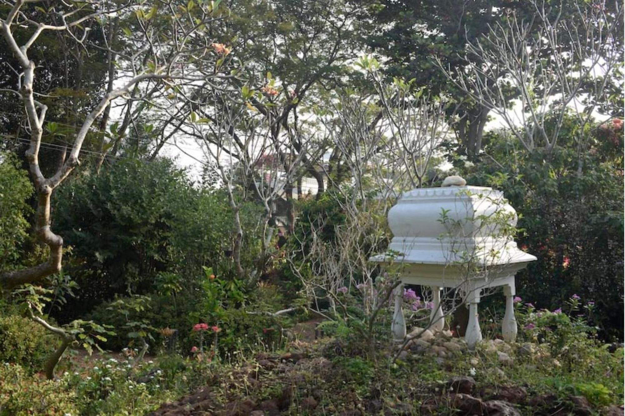 Gaia'S Garden Guest House Auroville Exterior photo