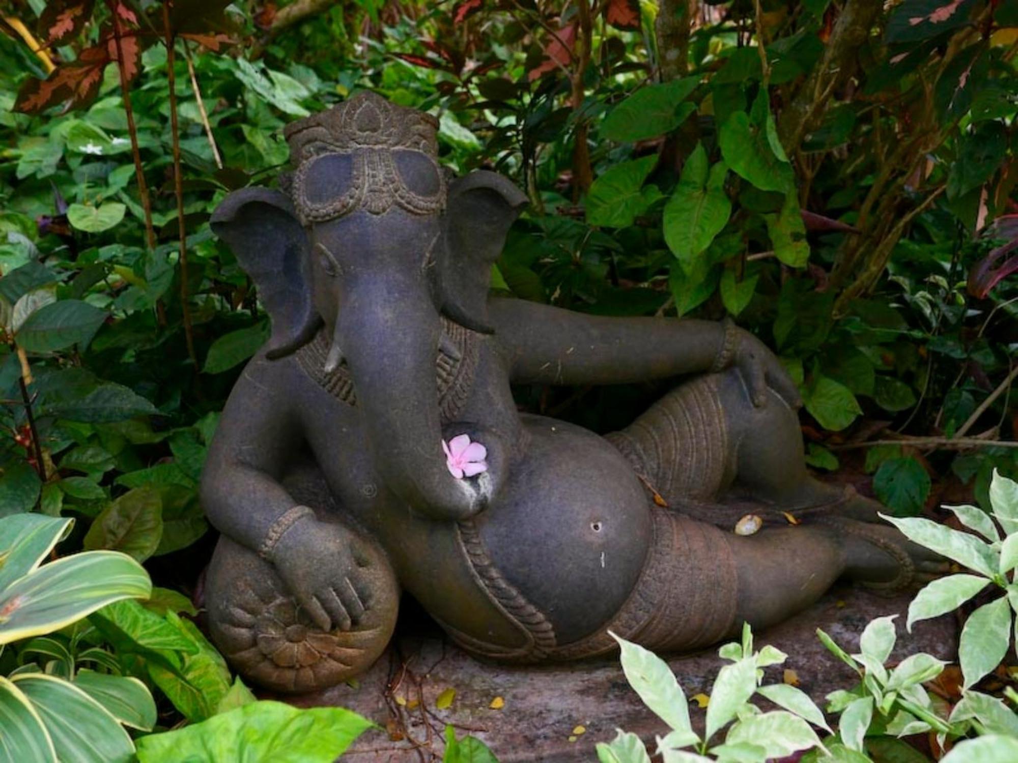 Gaia'S Garden Guest House Auroville Exterior photo