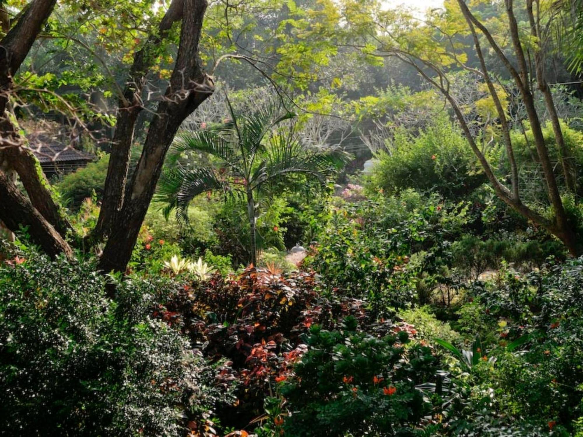 Gaia'S Garden Guest House Auroville Exterior photo
